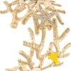 Clearance Bijou Brigitte Bracciale - Perfect Coral