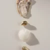 Clearance Bijou Brigitte Creoli - Golden Shells