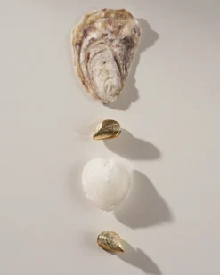 Clearance Bijou Brigitte Creoli - Golden Shells