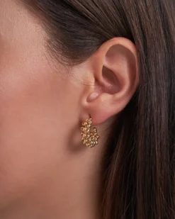 New Bijou Brigitte Creoli - Shiny Bubbles