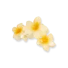 Hot Bijou Brigitte Fermaglio per capelli - Aloha Yellow