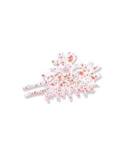 Best Bijou Brigitte Fermaglio per capelli - White Coral