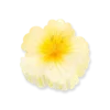 Best Bijou Brigitte Fermaglio per capelli - Yellow Blossom