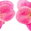 Hot Bijou Brigitte Orecchini a clip - Glitter Bloom