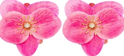 Hot Bijou Brigitte Orecchini a clip - Glitter Bloom