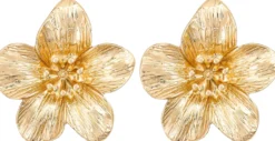 Online Bijou Brigitte Orecchini a perno - Blossom Glow