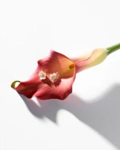 Outlet Bijou Brigitte Orecchini a perno - Noble Blossom