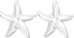Bijou Brigitte Orecchini a perno - Silver Statement