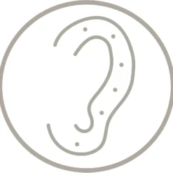 New Bijou Brigitte Piercing - Silver Lightning