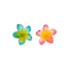 Clearance Bijou Brigitte Set di fermagli per capelli - Aloha Summer