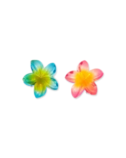 Clearance Bijou Brigitte Set di fermagli per capelli - Aloha Summer
